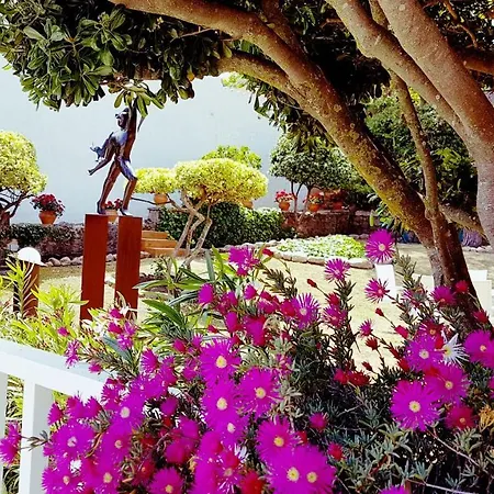 Con Jardin A 11 Metros De La Playa. B1.