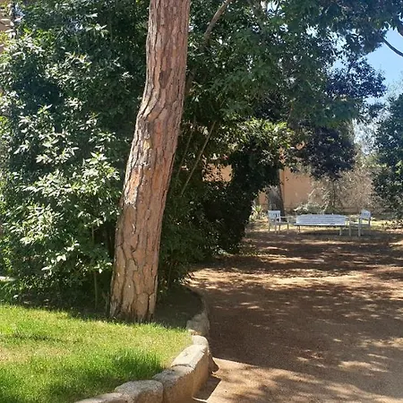 Apartment Con Jardin A 11 Metros De La Playa. B1.